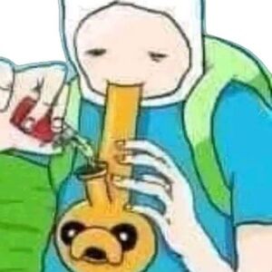 Meet your Posher, carter